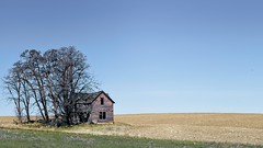 Abandoned Farmhouse Prairie 7922 A
