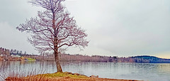 Lakes (mälaren), Gothenburg, Sweden