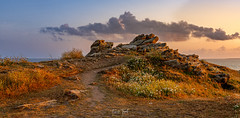 Brittany landscape in sunset (Pano version)