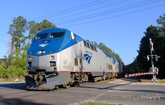 Amtrak 60 at Callahan, FL