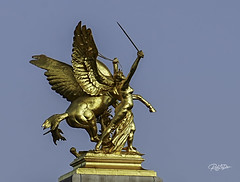 Bronze Wings