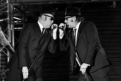 The Blues Brothers images