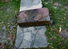 carriage step / stone / Savannah Georgia