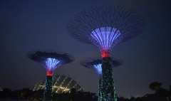 2018-07-13 Gardens by the Bay in Singapore