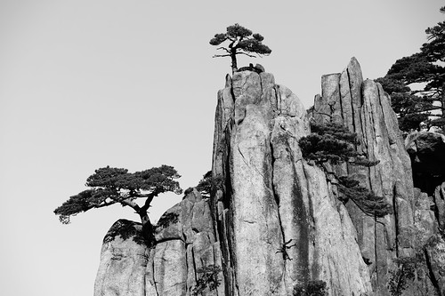 Stone Sentinels - Huangshan Mountain