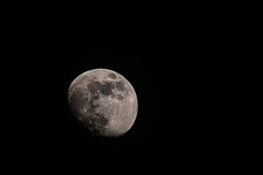 Moon 2024 04 19 04