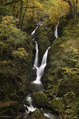 Stock Ghyll Force Waterfall (in explore)