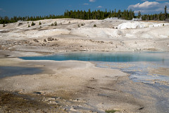 Beautiful milky teal water in a hot spring along the porcelain basin trail, in Yellowstone National Park - Norris Geyser Basin area