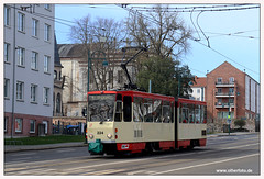 Tram Frankfurt (Oder) - 2024-14