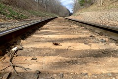 Railway Tracks at Ground Level