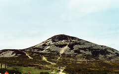 The Great Sugarloaf