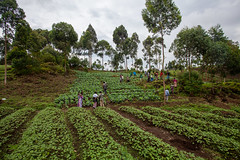 Democratic Republic of the Congo | Improving access to food for vulnerable displaced and host communities in North Kivu