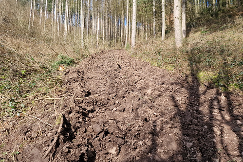Dirty track near Lellingen