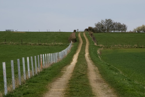 Track near Heffingen