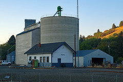 UP station and grain elevator, Colfax, Washington_
