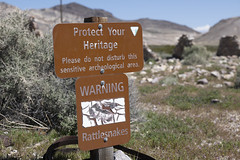 Rhyolite Protect Heritage Sign