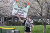 Protestors for Palestine