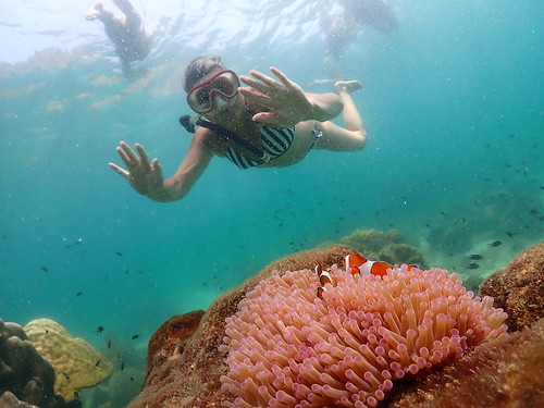Snorkeling tour Underwater Odyssey Pattaya - trip pictures April-22-2024 (810)
