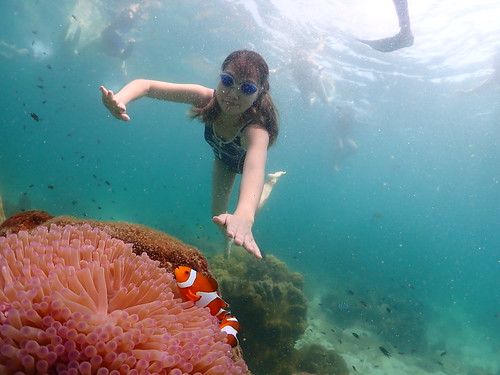 Snorkeling tour Underwater Odyssey Pattaya - trip pictures April-22-2024 (804)