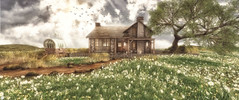 The Prairie - The Homestead