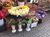 Flower Market in Zagreb
