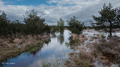 Wateroverlast Leersumse Veld