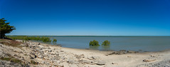 Karumba Point Beach on the southern end of the Gulf of Carpentaria.