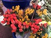 Flower Market in Zagreb