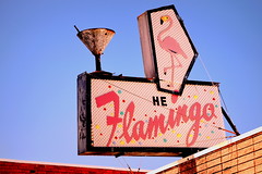 The Flamingos images