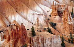 Bryce Canyon. Utah