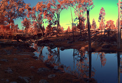 Spring Creek Texas IR Chrome FS Landscape Reflections