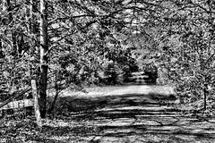 Owens Cemetery Road bw Fentress County Tennessee