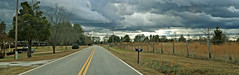 Rural Road - Abbeville Co. SC