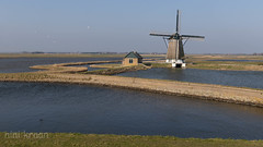 Het Noorden - Texel