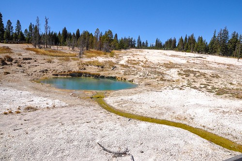 Lakeside Spring, West Thumb Geyser Basin, Yellowstone National Park