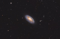 M88 spiral galaxy (Virgo) - 25% crop