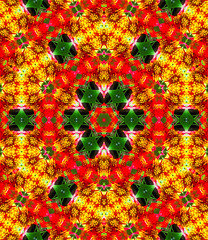 Olbrich Gardens Flower Hexagon Kaleidoscope (1)