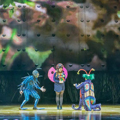 OVO Cirque du Soleil Show