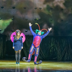 OVO Cirque du Soleil Show