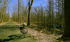 037384- Wetlands Along The Fred Meijer Heartland Bike Trail