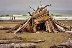 Driftwood Fort, Ocean Shores, Washington