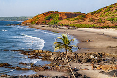 Vagator Beach in Goa: A Captivating Coastal Gem