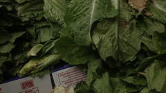 Lettuce images