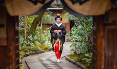 Chasing Beauty: A Geisha Encounter in Gion's Tranquil Haven
