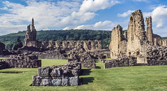 The ruins of Byland Abbey in North Yorkshire, north of York and south-west of Helmsley.