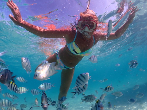 Snorkeling tour Underwater Odyssey Pattaya - trip pictures December-8-2023 (233)