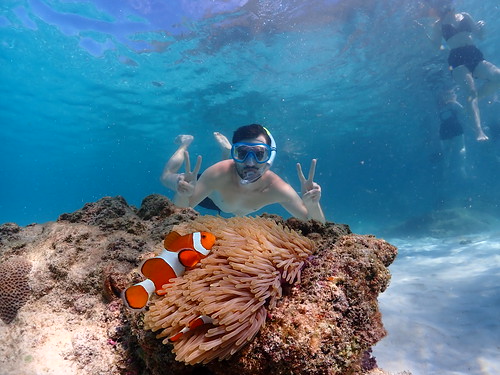 Snorkeling tour Underwater Odyssey Pattaya - trip pictures December-8-2023 (724)