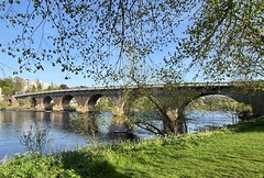 Perth Bridge under spring foliage