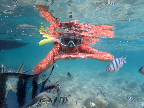 Snorkeling tour Underwater Odyssey Pattaya - trip pictures March-18-2024 (272)