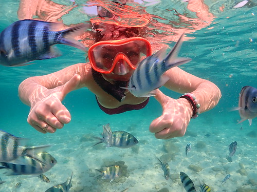 Snorkeling tour Underwater Odyssey Pattaya - trip pictures March-18-2024 (263)